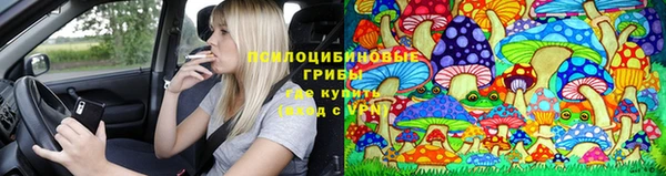 мдпв Абинск